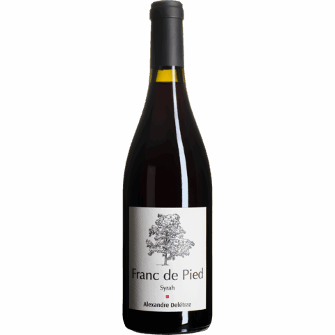 Franc de Pied - Syrah